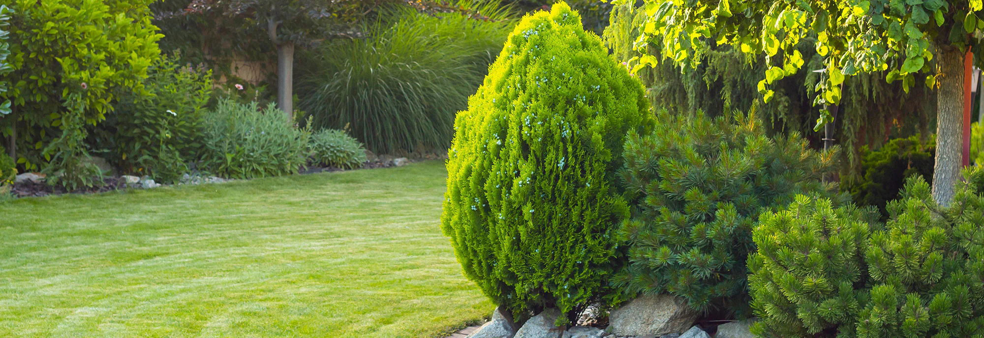 Sublimez votre jardin avec Bakker