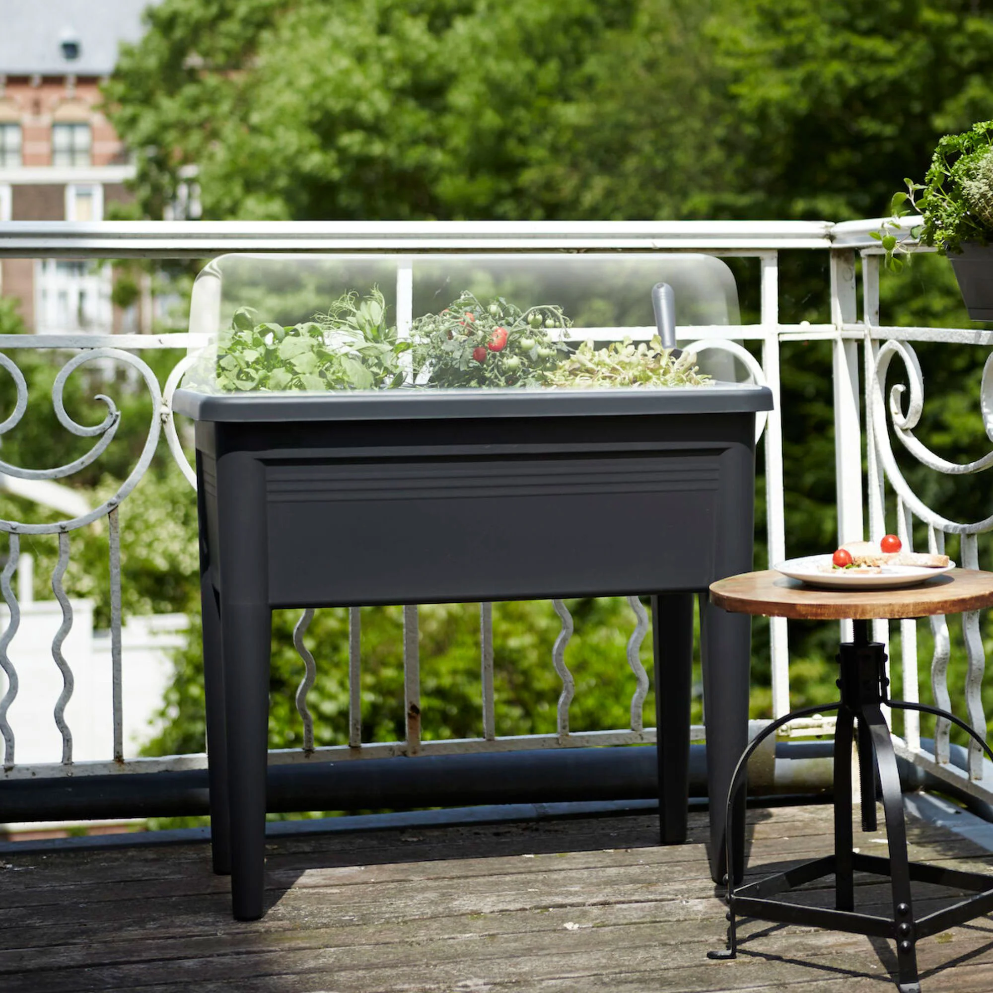 Thumb 2