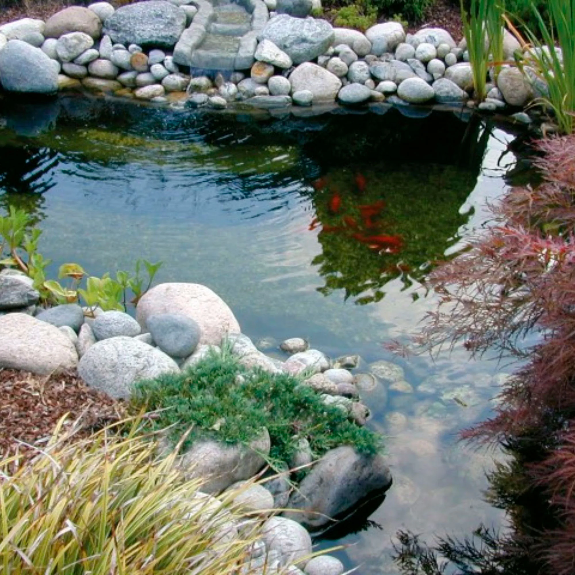 Miniature 1